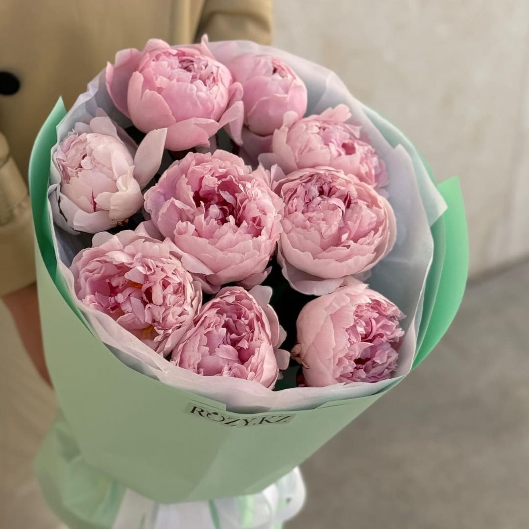 Пион 9 шт Доставка цветов Астана