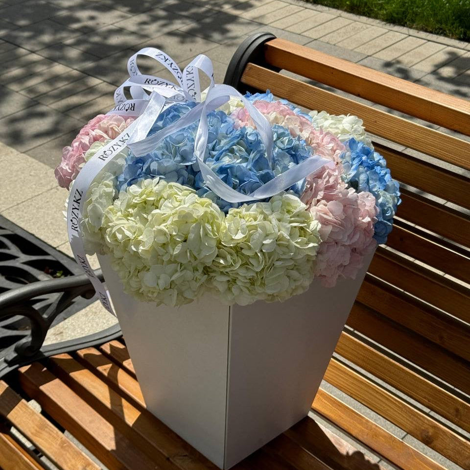 15 гортензий микс в стильной переноске Доставка цветов Астана