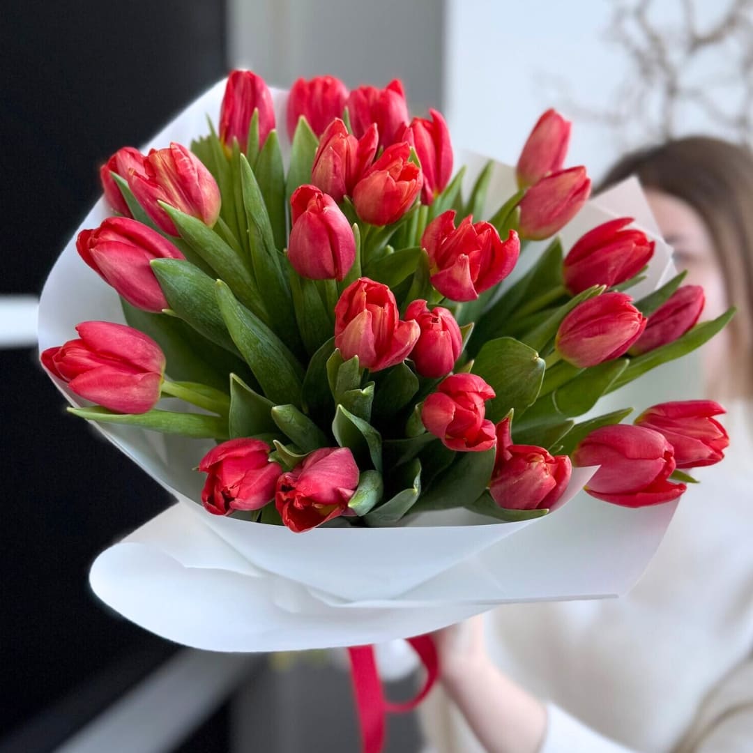 Красный тюльпан 25 шт Доставка цветов Астана
